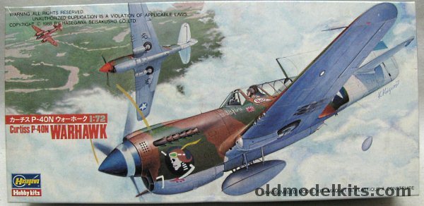 Hasegawa 1/72 P-40N Warhawk - USAAF 49th FG 7th FS Lt. JB Paris New Guinea 1944 / 80th FG 89 FS India Assam Valley Base 1944, 510 plastic model kit